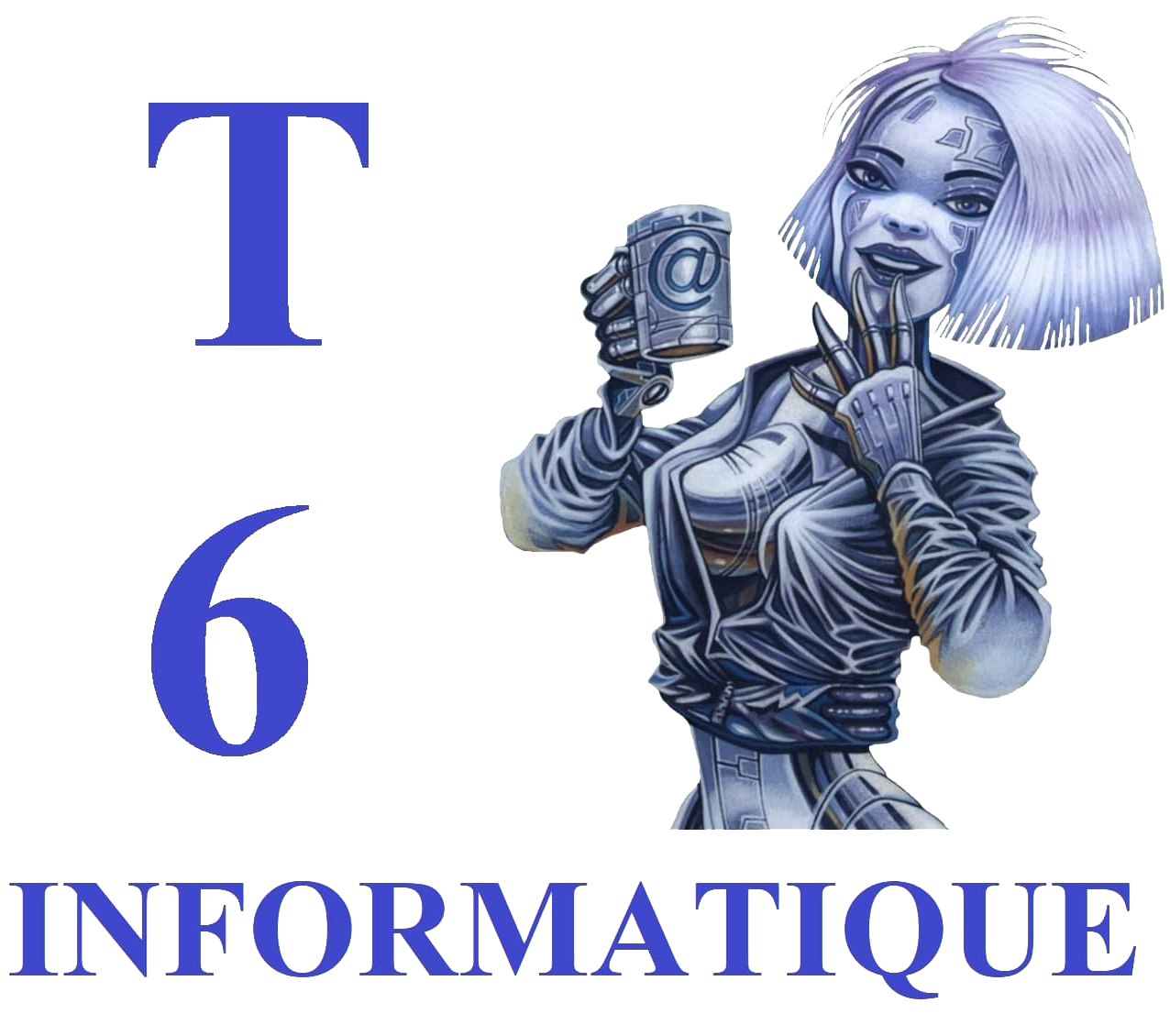T6 informatique